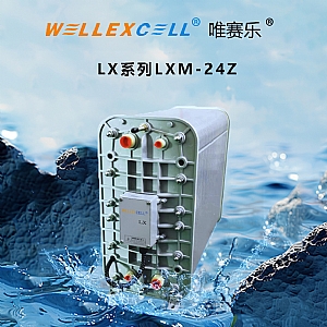 WELLEXCELL唯賽樂(lè)LXM24Z EDI模塊