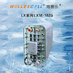 WELLEXCELL唯賽樂(lè)LXM18ZG EDI膜塊 EDI模塊